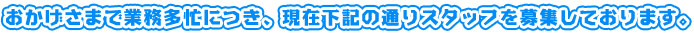 おかげさまで業務多忙につき、現在下記の通りスタッフを募集しております。
