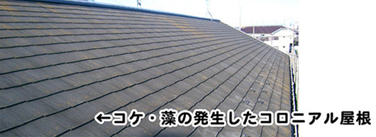 屋根塗装作業工程
