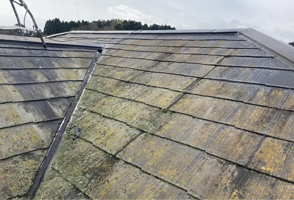 屋根の状態に合わせた工事提案と料金プラン