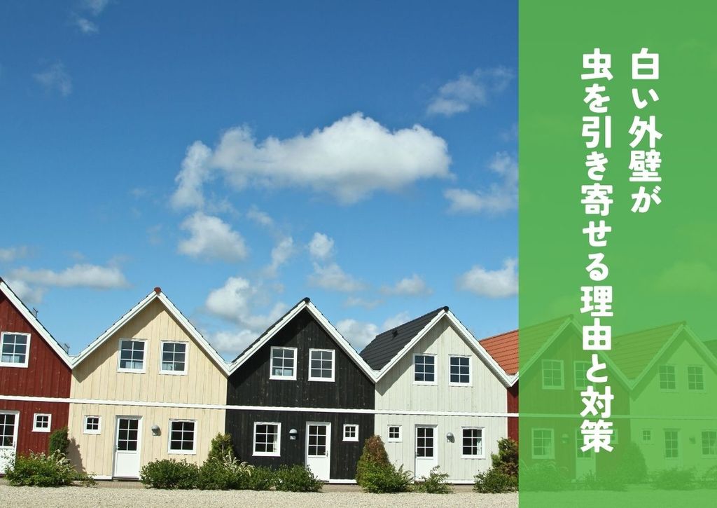 家の外壁に虫が寄ってくる原因｜白い外壁が虫を引き寄せる理由と対策