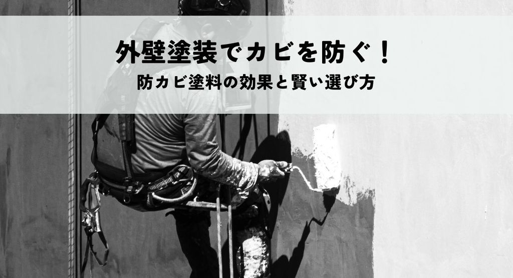 外壁塗装でカビを防ぐ！防カビ塗料の効果と賢い選び方