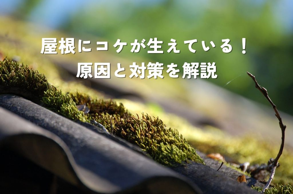 屋根にコケが生えている！放置するとどうなる？原因と対策を解説