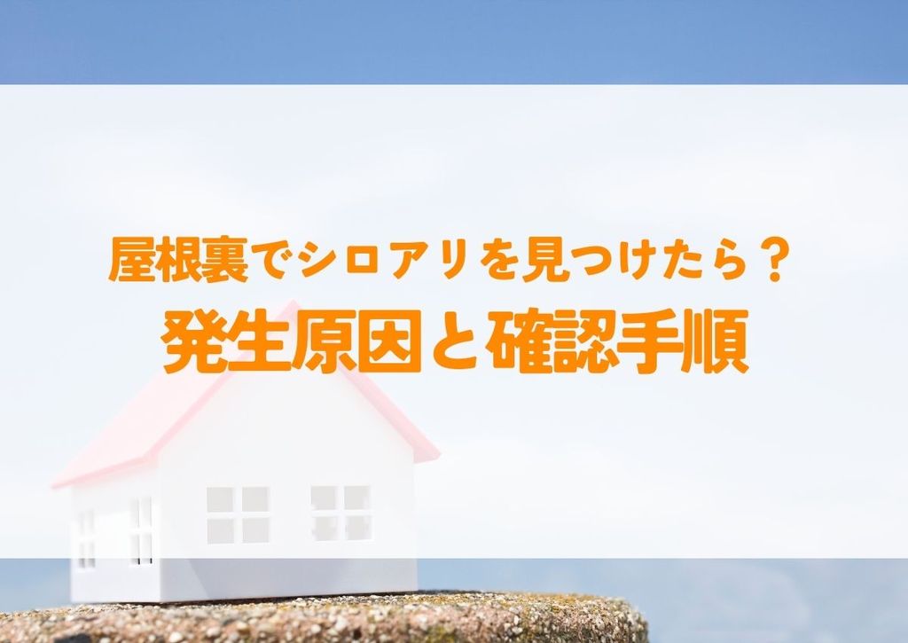 屋根裏でシロアリを見つけたら？発生原因と確認手順をご紹介します！